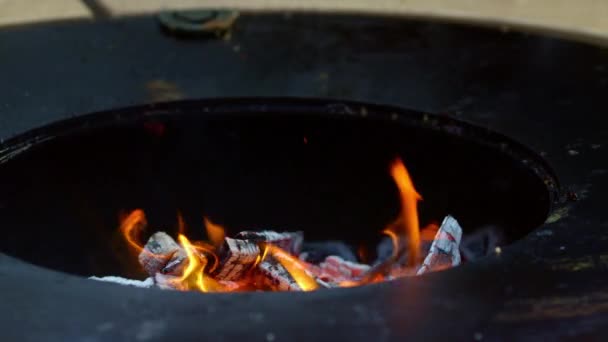 Spatula venku. Blízký oheň z grilu venku. Neznámý muž čistí gril — Stock video