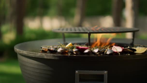 Nahaufnahme Miesmuscheln, die draußen braun werden. Meeresfrüchte grillen auf Grill im Hinterhof — Stockvideo