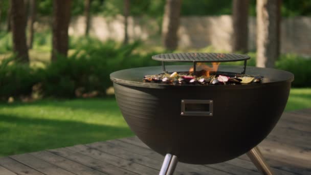 Fisk och skaldjur brunnar på bbq grill på bakgården. Musslor som förbereder sig på grillen utomhus — Stockvideo