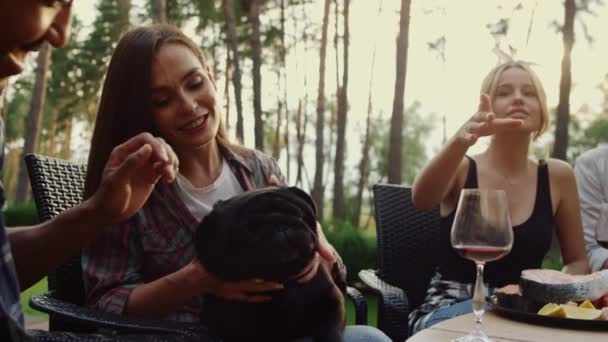 Glückliche Menschen, die sich auf der Grillparty draußen ausruhen. Lächelnde Frau spielt mit Hund — Stockvideo