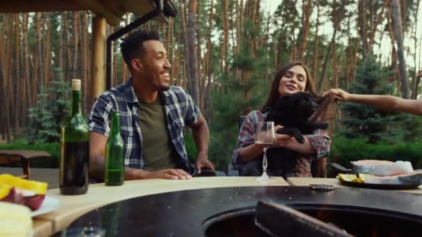 Positive Männer und Frauen lachen draußen. Entspanntes Mädchen spielt beim Picknick mit Hund — Stockvideo