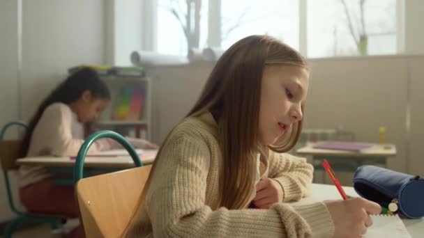 Une écolière qui apprend en classe. Étudiant joyeux assis au bureau pendant le cours — Video