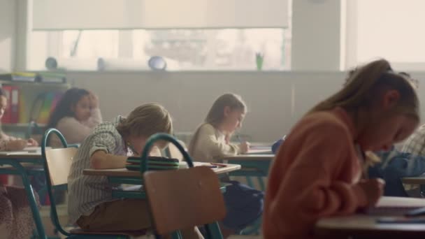 Estudiantes sentados en escritorios en clase escolar. Niños que tienen clase en el aula — Vídeo de stock