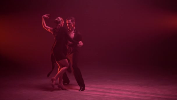 Pareja profesional de cuerpo entero bailando en interiores. Bailarinas moviéndose sensualmente. — Vídeos de Stock