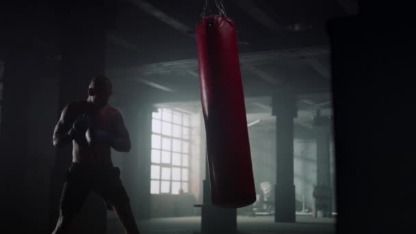 Athlete hitting punching bag in gloves. Man working out blows on sports bag — Stock Video
