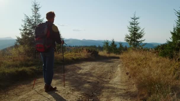 Ginger man wandelen op de berg weg. Mannelijke hipster draait rond groen landschap — Stockvideo