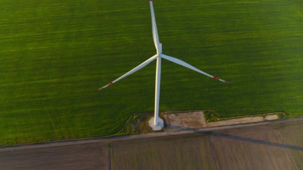 Farma wiatraków wytwarzająca zieloną energię. Widok wiatraka obracającego się na obszarach wiejskich. — Wideo stockowe