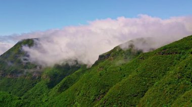 İnsansız hava aracı manzaralı yeşil dağlar sarp kayalıklar gür ormanlık alanları kapladı. Güzel, bereketli dağlık arazide büyüyen manzaralı sık ormanlar. Canlı yeşil yeşillik yamaçtaki yüksek yamaçlardaki kayalara saçılmış. 