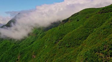 Dağ tepelerini çevreci manzarayla kaplayan bulutlar manzaralı vahşi doğa manzarası yaratır. Sisli yamaçlar, sakin doğa manzarası sağlar. Resimli yeşil vadilerde büyüyen yemyeşil orman.