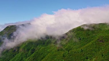 Alçak bulutlar yeşil dağlar ve vadiler sık orman yeşil hava manzarasını kapladı. Manzaralı ormanlık, panoramik sunan kayalıklara saçılmış. Görkemli manzara yemyeşil arazi doğal güzellik 