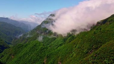 Canlı yeşil dağlar, engebeli yamaçlar, hava manzarası. Yoğun orman ve panoramik manzaralı manzara. Bereketli araziyi kaplayan sakin orman üzerinde güzel bulutlu bir ufuk çizgisi.