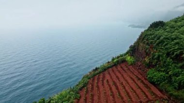 Yeşil yamaçlar kasvetli okyanus manzarasıyla buluşuyor. Orman kayalıklarını süper yavaş çekimde kaplayan ağır bulutlar. Fırtınalı yaz gününde kıyı şeridi tepelerini yıkayan gri deniz suyu. Yağmurlu sezon konsepti 