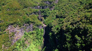 Orman suyu akan gölet drone görüntüsü. Doğa şelalesi yaz güneşinde Rocky Hill 'i çağlayarak geçiyor. Bereketli yeşil ortamda sakin doğal bir manzara. Güzel soğuk akarsu ıssızlığın ortasına sıçrıyor. 