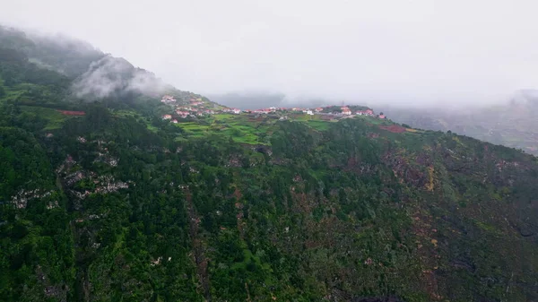 Hava yeşili tepeler doğa bulutlu bir yaz günü. Panoramik dron görüntüsü orman arazisini verimli hale getiriyor. Kasvetli milli parkta büyüyen dağ ağaçlarının büyüleyici sakin manzarası. 