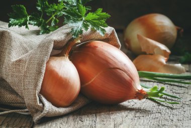 Germinated yellow onions in a burlap sack