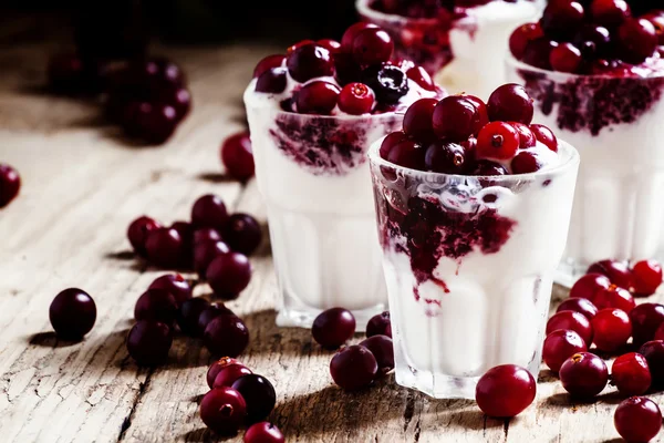 Söt dessert av vaniljglass med tranbärssås och bär — Stockfoto