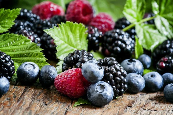 Fresh blackberries, blueberries and raspberries with green leaves — Stock Photo, Image