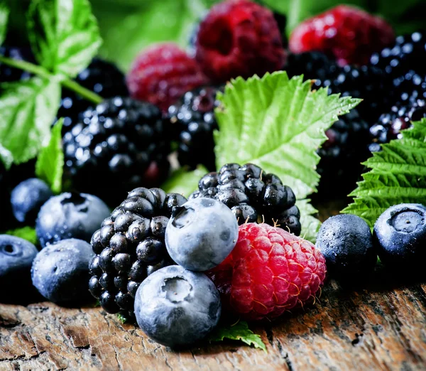 Frische Brombeeren, Blaubeeren und Himbeeren mit grünen Blättern — Stockfoto