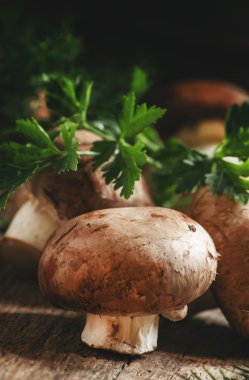 Royal brown mushrooms with a sprig of parsley and dill 