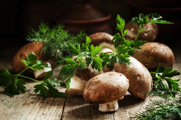 Royal brown mushrooms with a sprig of parsley and dill — Stock Photo, Image