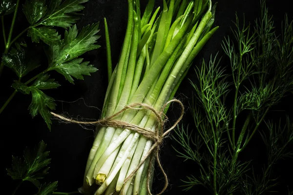 Lebensmittel Hintergrund, frischer Bärlauch Sprossen — Stockfoto