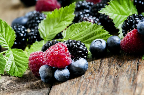 Moras frescas, arándanos y frambuesas con hojas verdes —  Fotos de Stock