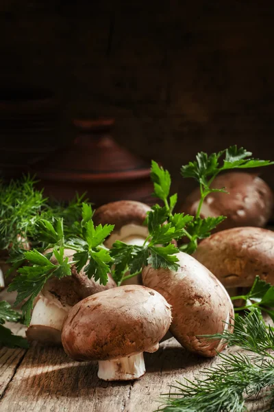 Cogumelos marrons reais com um ramo de salsa e endro — Fotografia de Stock