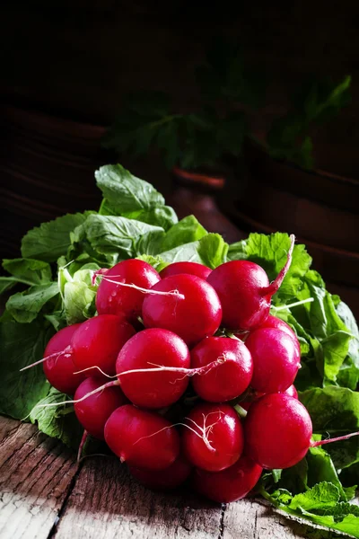 Rábano rojo fresco en la viga con hojas —  Fotos de Stock