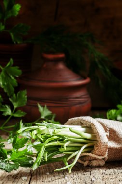 Taze yabani sarımsak, yeşil bir torba çuval bezi lahanası 
