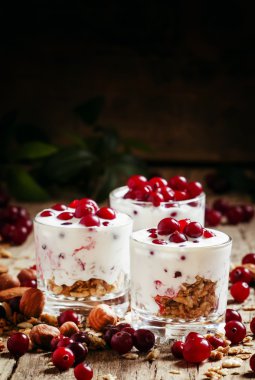 Fırında buğday gevreği, yoğurt, kızılcık ve fındık ile sağlıklı kahvaltı