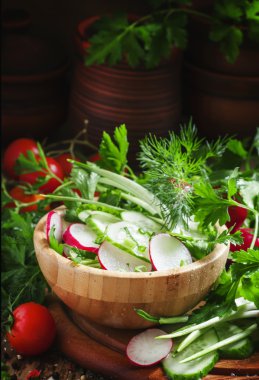 Taze salatalık, turp, otlar, sarımsak yay ile bahar salatası