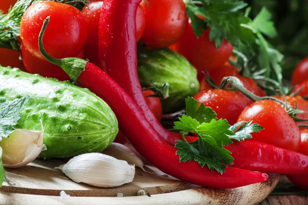 Pimienta roja picante con verduras de primavera — Foto de Stock