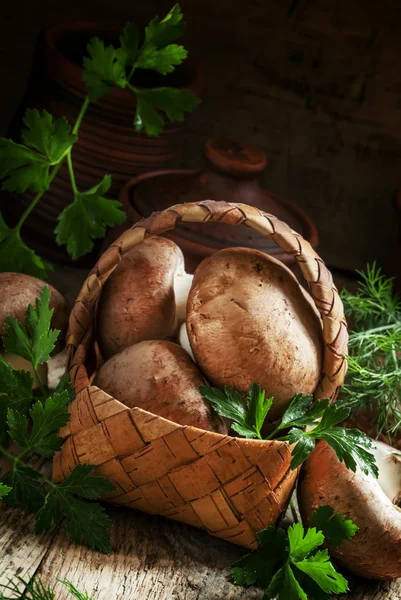 Cesta de vime com colheita de cogumelos e ervas — Fotografia de Stock