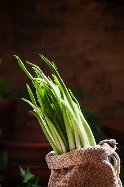 Świeżego czosnku dzikiego, zielone kiełki w worek płótnie — Zdjęcie stockowe