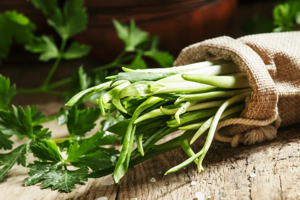 Verse wilde knoflook, groene spruiten in een tas van jute — Stockfoto