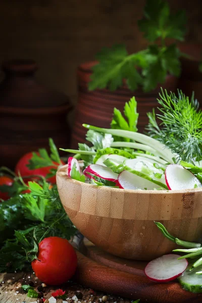 Salada de primavera com pepino fresco, rabanetes, ervas, alho em arco — Fotografia de Stock