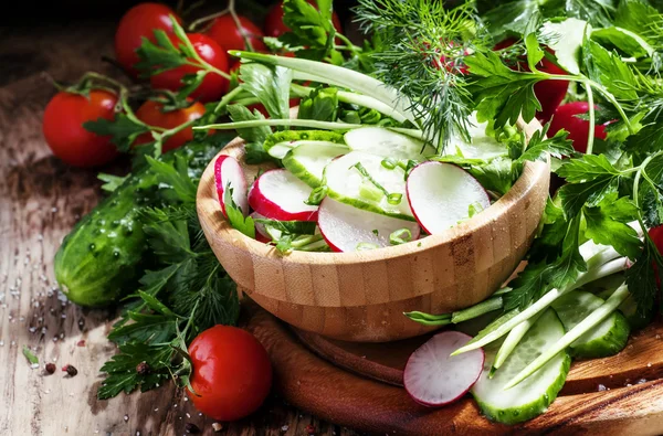 Salada de primavera com pepino fresco, rabanetes, ervas, alho em arco — Fotografia de Stock