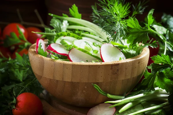 Insalata di primavera con cetriolo fresco, ravanelli, erbe aromatiche, aglio a prua — Foto Stock