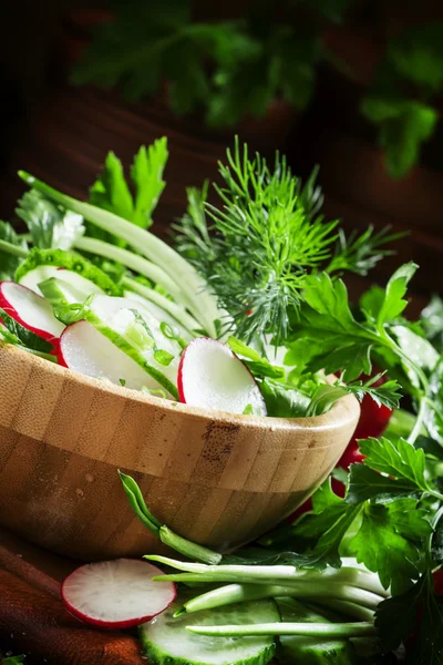 Taze salatalık, turp, otlar, sarımsak yay ile bahar salatası