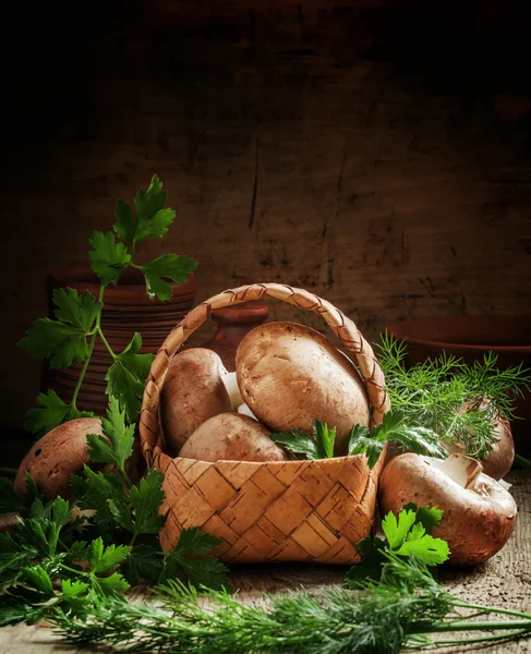 Rieten mand met oogst van paddestoelen en kruiden — Stockfoto