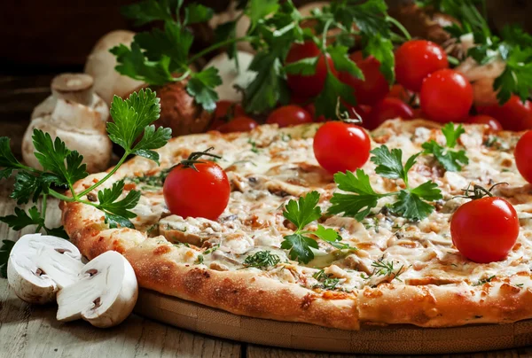 Pizza con carne di pollo e funghi — Foto Stock