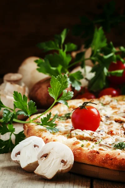 Pizza with chicken meat and mushrooms — Stock Photo, Image