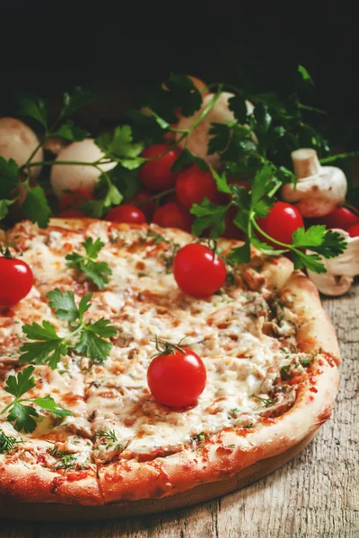 Pizza with chicken meat and mushrooms — Stock Photo, Image