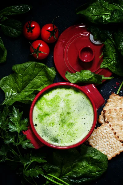Useful healthy spinach soup — Stock Photo, Image