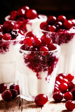 Taze kızılcık ile dondurma