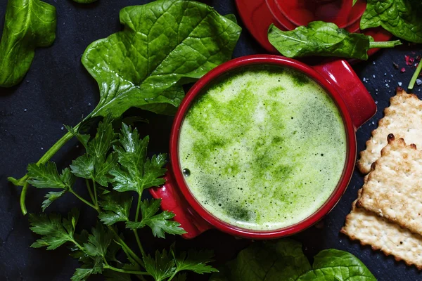 Nützliche gesunde Spinatsuppe — Stockfoto