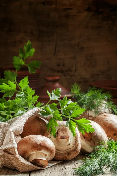 Champignons in een jute zak — Stockfoto