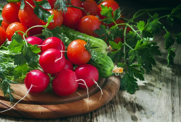 Fresh spring vegetables, radishes, cucumbers, tomatoes and herbs — Stock Photo, Image