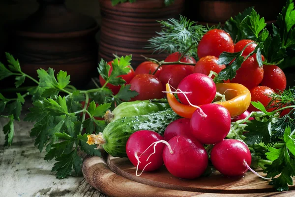 Verdure fresche primaverili, ravanelli, cetrioli, pomodori ed erbe aromatiche — Foto Stock