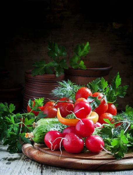 Fresh spring vegetables, radishes, cucumbers, tomatoes and herbs — Stock Photo, Image